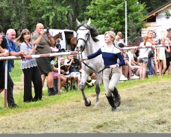 Pokaz Koni Wszystkich Ras 2024 (10)