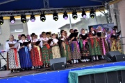 Festyn dożynkowy w Gołkowicach (1)