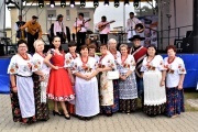 Festyn dożynkowy w Gołkowicach (6)
