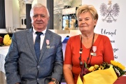 Sosna Antoni i Irena - Łaziska